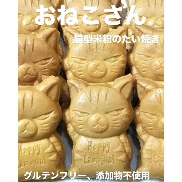 おねこさん1.jpg
