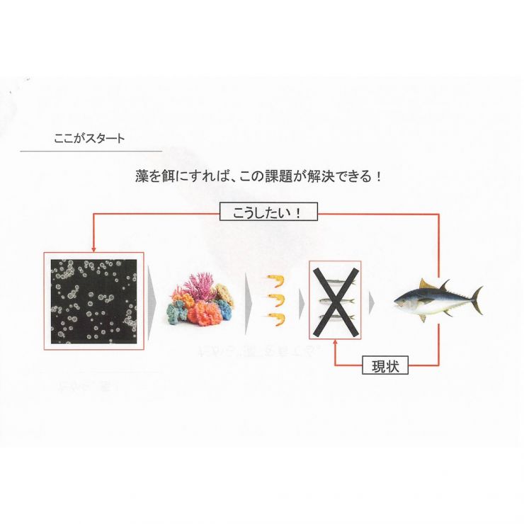 資料_p06.jpg