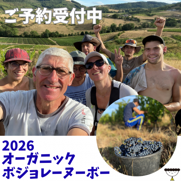 2026ボージョレヌーボー1040×1040②.png