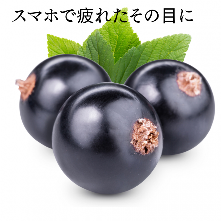 ジャフマック　乳酸菌醗酵カシス5.png