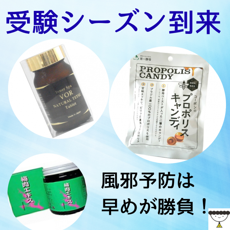 段落テキスト (41).png