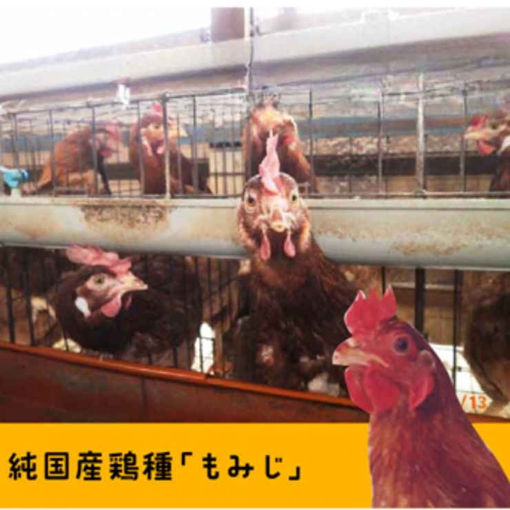 名称未設定のデザイン (5).jpg