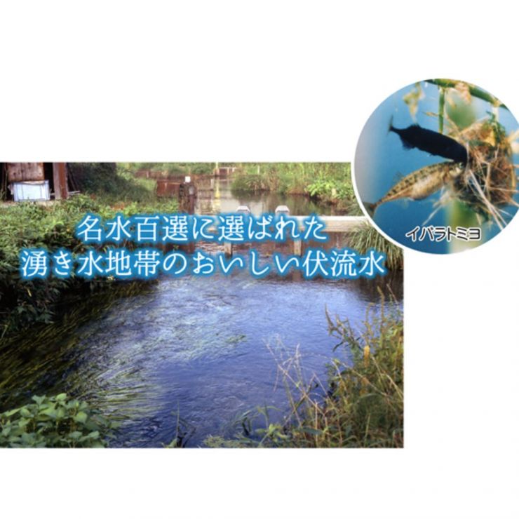 名称未設定のデザイン (8).jpg