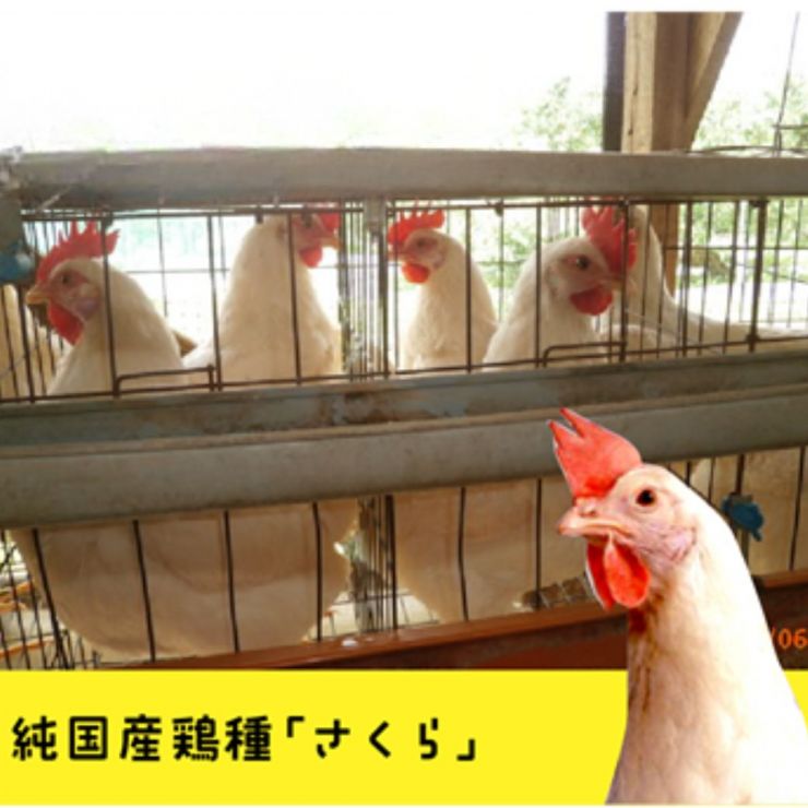 名称未設定のデザイン (6).jpg